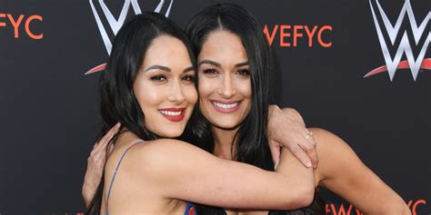 Twin Sisters Nikki And Brie Bella Are Both Pregnant