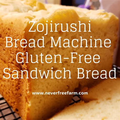 Put all of the ingredients into the bread pan in the order listed. Zojirushi gluten free bread recipe > arpentgestalt.com