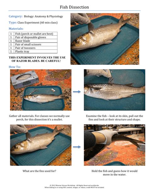 Fish Dissection Community Science Workshop Network