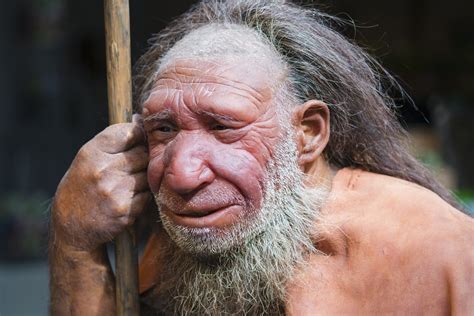 Were Neanderthals Savages A New Nature Paper Helps Dispel A Decades Old Stereotype Vox