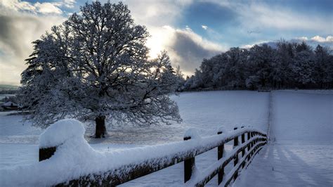 1920x1080 Fence Winter Snow Clouds Trees Tree Nature Sky