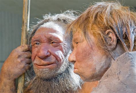 Podcast Latest Discoveries In Genetics Archaeology Reveal Early History Of The British People
