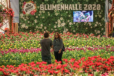 Messevorstellung Internationale Gr Ne Woche Igw Messebau De Ratgeber