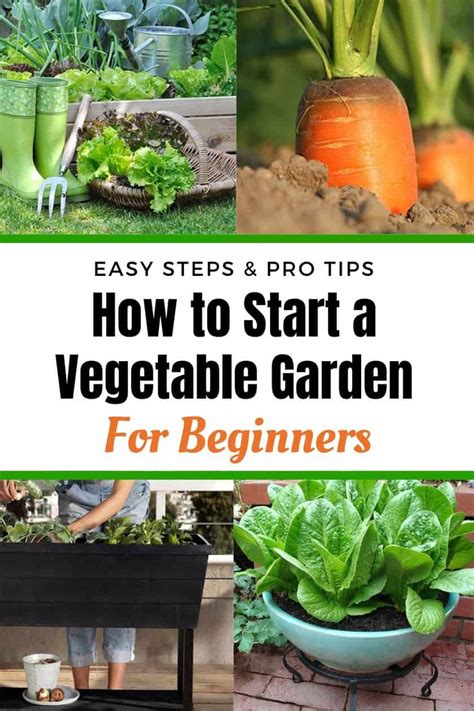 how to start a vegetable garden for beginners vegetable garden for beginners starting a