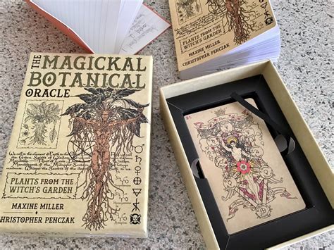 Review The Magickal Botanical Oracle Tabi