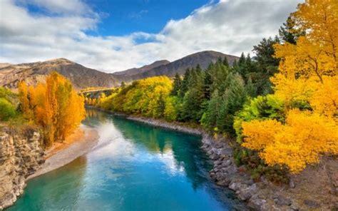 Mystery bargain jigsaw puzzles for fantastic prices. Solve NEW ZEALAND jigsaw puzzle online with 416 pieces
