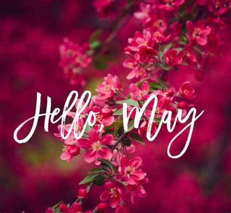 50hello May Images Pictures Quotes And Pics 2020