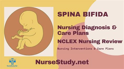 Spina Bifida Nursing Diagnosis And Nursing Care Plan Nursestudy Net