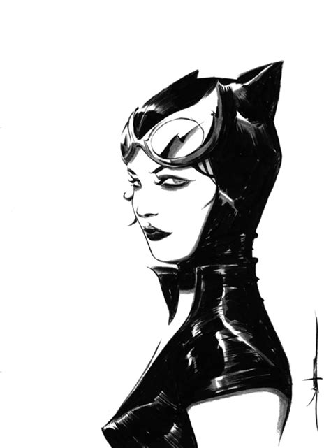 Catwoman By Jae Lee Catwoman Catwoman Cosplay Dc Comics Art