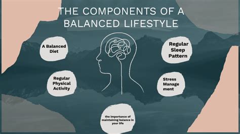 The Components Of A Balanced Lifestyle By Paige Edwards