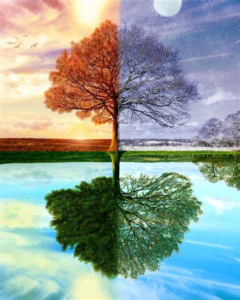 All Sizes Four Seasons Flickr Photo Sharing Beautiful Nature