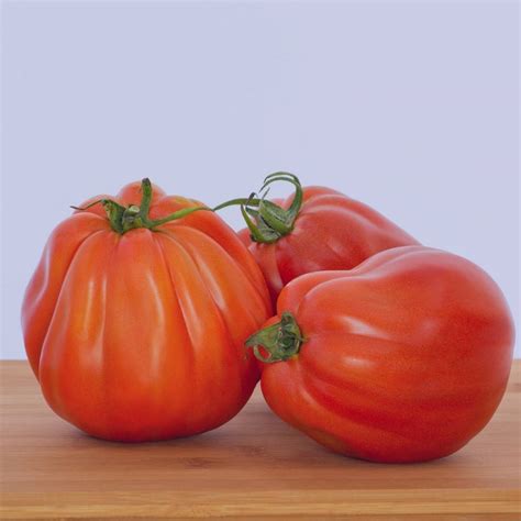 Tomato Big Pear 50 Seeds Tsc Heirloom And Op Seeds Non Gmo