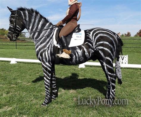 Zebra Horse Mix