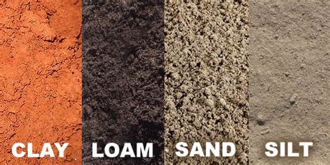 State The Main Types Of Soil And Their Properties Oldmymages