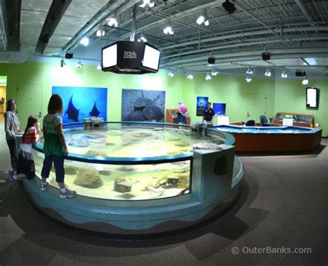 Nc Aquarium In Manteo North Carolina Aquarium Outer Banks