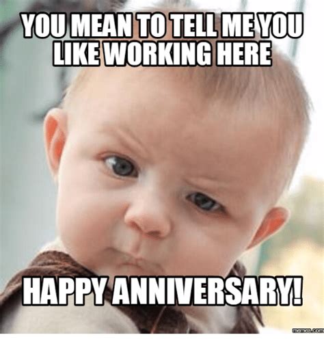 Work Anniversary Meme Cat Happy Anniversary Hugs Cats Images And Photos Finder