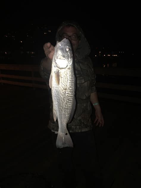 Arkansas game & fish commission boating safety section 2 natural resources dr. Virginia Dept. of Game and Inland Fisheries offering three ...