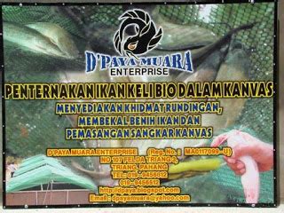 Home » johor » bukit gambir » taman desa besar » 84800. Penternakan Ikan Air Tawar Bio Dalam Sangkar Kanvas