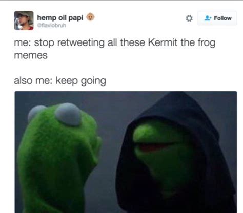 32 Kermit Dog Memes Factory Memes