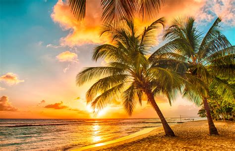 Beeindruckendes Barbados Urlaubsguru