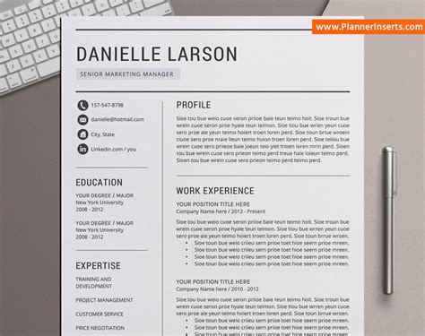 Professional Cv Template For Ms Word Cover Letter Simple Cv Format Creative Resume Modern