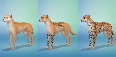 How To Create Wild Animals In The Sims 4 Cats And Dogs