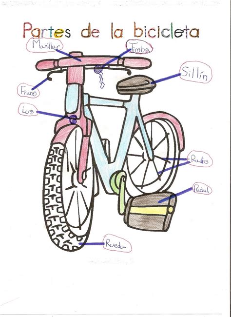 Partes De Una Bicicleta Y Sus Funciones Blog De Terránea