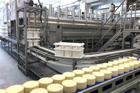 Fabricación de quesos prensados línea de producción de queso Tecnical