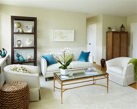 Traditional Small Living Room Living Room Design Ideas Remodels