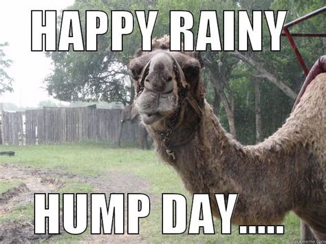35 Very Funny Hump Day Memes S Pictures And Photos Picsmine