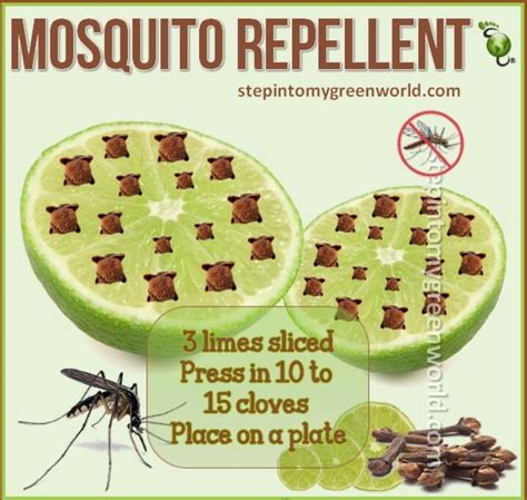 How to make homemade mosquito killer spray. DIY mosquito repellent | Mosquito repellent, Diy mosquito repellent, Repellent homemade
