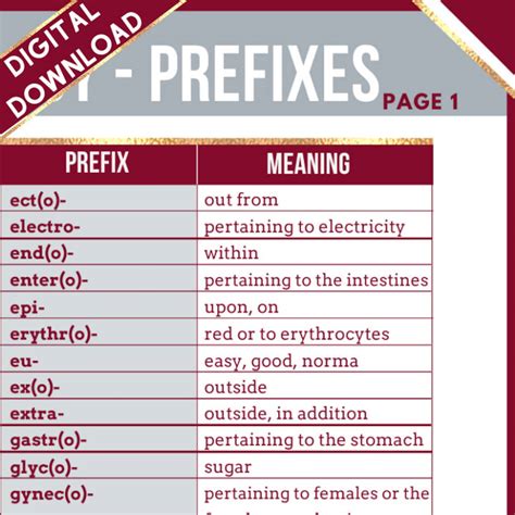 Medical Terminology Prefixes 2 Pages Instant Download Etsy