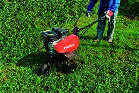 Acheter Un Motoculteur Pour Un Petit Jardin Comment Bien Choisir