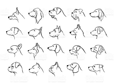 Collection Of Dogs Heads Profile Side View Portraits Silhouettes In