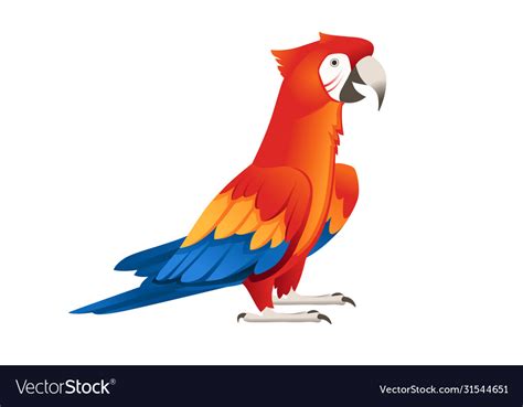 Adult Parrot Red And Green Macaw Ara Standing Vector Image