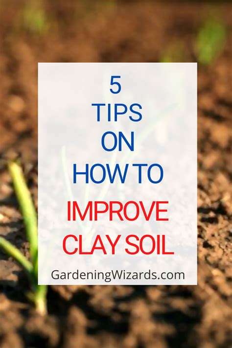 5 Tips On How To Improve Your Clay Soil