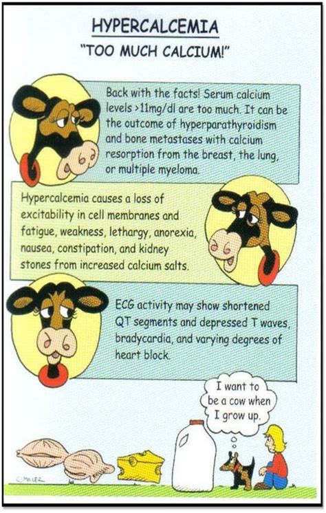 Hypercalcemia Nursing Study Aidsmnemonics Pinterest Nclex