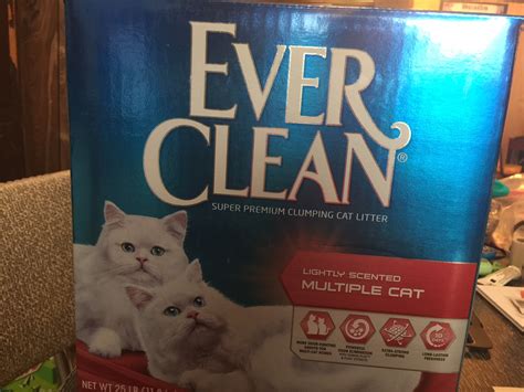 Good cat litter helps keep smells down, clumps well, and is easy to clean. Ever Clean Multi-Cat Clumping Cat Litter #ChewyAmbassador