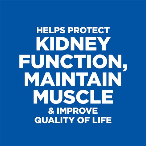 New, improved formula with chicken may have a the kidney is a complex organ with many functions which means that kidney failure can result in many different kinds of complications, including the. Hill's Prescription Diet k/d Kidney Care with Lamb Canned ...