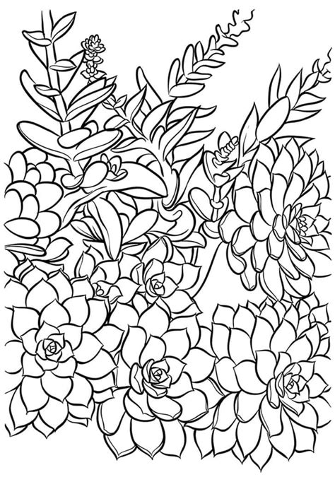 May 12, 2020 · print the coloring pages actual size, or scale them down using your printer's settings to create a coloring sheet that can be easily attached to the front of a card. Succulent Coloring Card - Free Printable! | Coloring pages ...