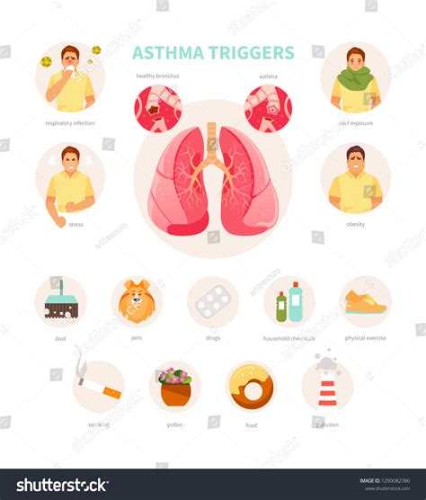 Set Asthma Triggers Medical Vector Infographics Stock Vector Royalty
