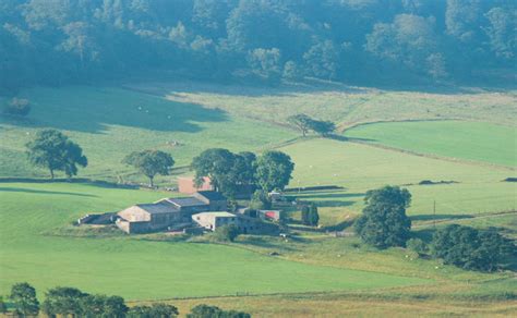 Hillside Farm © Peter Mcdermott Cc By Sa20 Geograph Britain And