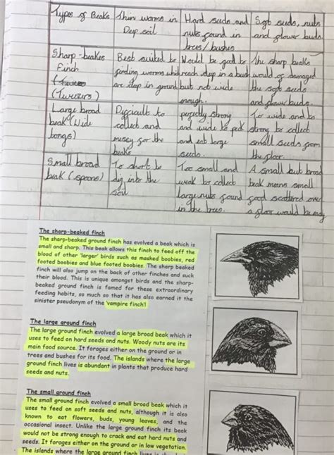 In this case, the large thick seeds would. Finch Beak Experiment | Broad Heath Primary School