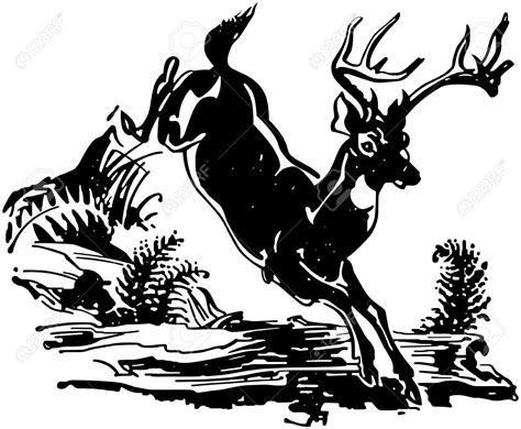 Whitetail Deer Jumping Clip Art