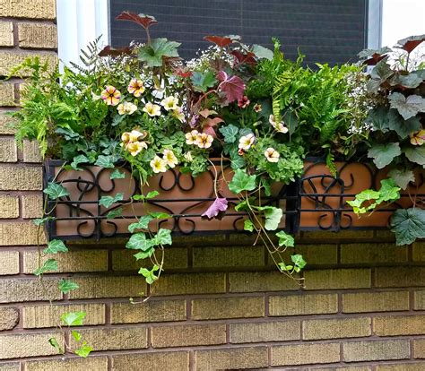 Follow The Yellow Brick Home Planting Window Boxes With Shade Loving