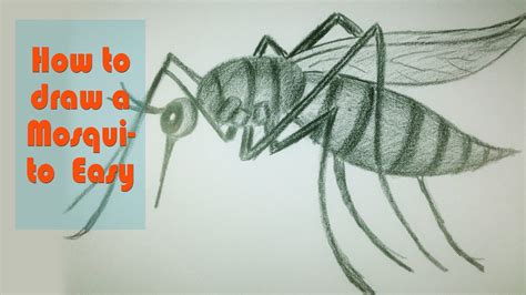How To Draw A Mosquito Easy Drawing Animal Art For Kids Youtube