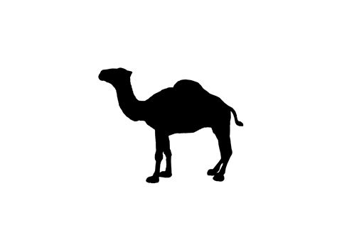 I noticed that camel softpacks still use the classic boxart. Camel logo | Logok