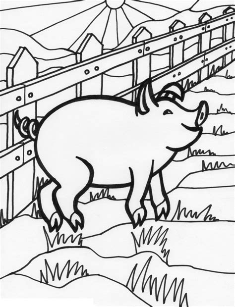 Pig Coloring Page For Kids Images Animal Place