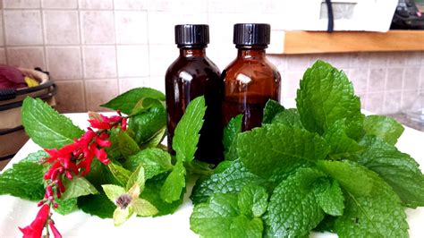 How To Make Herbal Tinctures Herbal Tinctures Herbalism Herbal Recipes