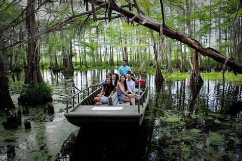 The History Of New Orleans Bayous And Why Theyre Worth Exploring